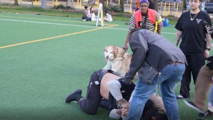 Image: A man got beaten and robbed in broad daylight in Seattle at Cal Anderson Park on Sunday, Apr...