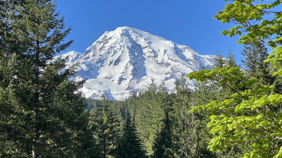 Image: Mount Rainier can be seen from Eatonville near Mount Rainier National Park....