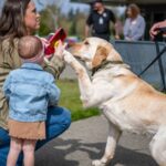 Photo: Rescue dogs graduate from the Washington State Department of Corrections (DOC) as K9s who will help officers find illegal drugs. 