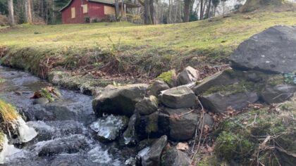 Image: A view of the little house from an icy Everest Creek in Kirkland, which runs along the northern property line down a slope.