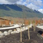 Photo: A memorial in Oso honors those who died in the Oso landslide in 2014.