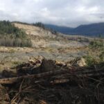 Photo: Oso landslide