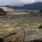 Photo: Oso landslide