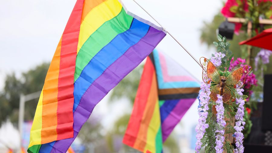 newcastle pride flag...