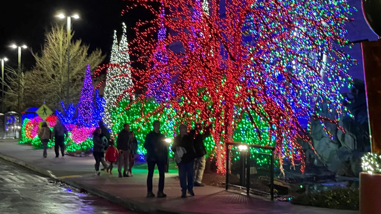 Tulalip Christmas Lights 1...